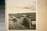 Looking West from Woodwards Gardens about 1870