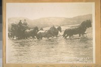The Harris and Freeman's Stage line that ran between Sierra City and Blairsdon [Blairsden], Sierra Co., Calif