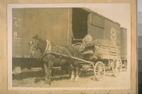 A one horse wagon gathering hay out of an empty - R.R. car. at the foot of 6th St. April 6/28. See page #27