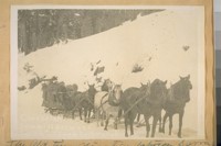 The Old time stage line between Sierra City and Sattley - Sierra Co., Calif. in the winter of 1908. Photo taken at the summit of Yuba Pass