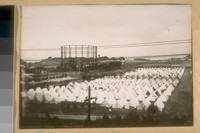 Refugee Camp at Lobus [Lobos] Square, April 18-06