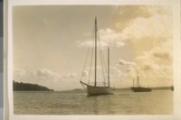 Tiburon Cove Bay, Marin Co., Calif. 1931