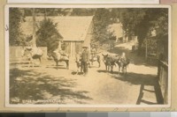 Downieville Sierra Co. Calif. in 1890