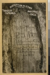 Inscription on a tree at Tragedy Springs, Amador Co., Calif. "To the memory of Daniel Browell, Ezrah H. Allen, and Henderson Cox, who was supposed to have been murdered and buried by Indians on the night of the 27 of June 1848."