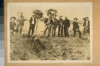 The Bandit Sontag in the Manure Pile of the Sontag & Evans Bandits