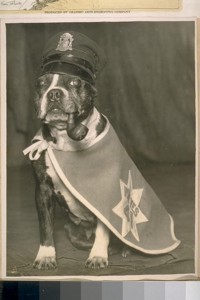 Our Police Dog on Nov. 4/24 Election Day