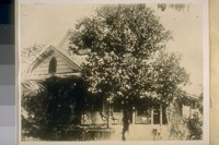 This is an other view of the home I was born in, at the cor. 9th & F. Sts. Marysville, Yuba Co. Calif. on Feb. 10th 1860. Photo taken Nov. 1924. J.B. Cook