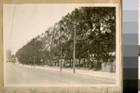 North on Masonic Ave. from St. Rose's Ave. June 5/26, after the Ewing Field fire