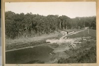 Camp Lilenthal on the Boy Scouts' Camp, back from Sloat Blvd. near 19th Ave