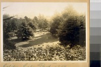 Golden Gate Park. 1919