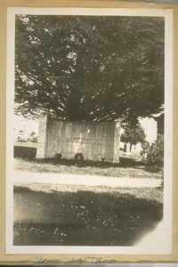 This is the plot in Holy Cross Cemetery of John S. Drum and John J. Spieker his father in law. May 10th 1929
