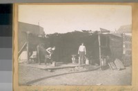 Horse shoeing after the fire of April 18-06