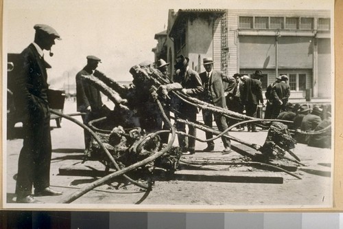 About 1897 the Str. [steamer?] San Rafael was sunk in a collision on the San Francisco Bay and a number of years after, a ship's anchor fouled it and raised it from the Bay