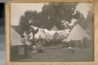 Refugees in Golden Gate Park, April 18-06
