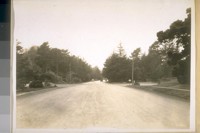 West on the Main Drive Golden Gate Park from 24th Ave. Dec. 1/28