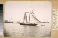 The pilot boat Lady Mine of San Francisco about 1885