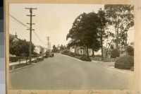 North on Portola Drive from Terrace Drive (St. Francis Wood). June 1924