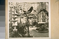 Conservatory at Woodwards Gardens. About 1870