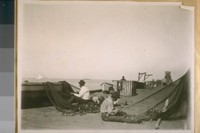 Old Fishermen's Wharf, Union & East St. in 1888