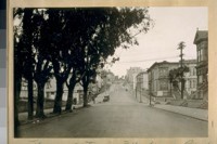 North on Octavia St. from Bush St. Feb. 1924