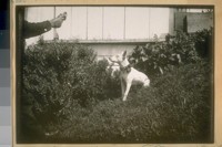 Engineer Frank Crockett, S.F. [San Francisco] Fire Dept. and his dog at home, 1919