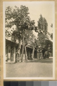 North on Main St. from State St. at the old Pioneer Buildings. Columbia, Tuolumne Co. Calif. August 9/28