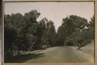 North Drive Golden Gate Park, Oct. 1921