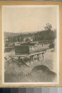 This is the last horse drawn slay out of Camptonville, Yuba Co., about 1910