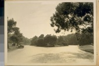 West from Spreckels Lake in the Golden Gate Park on Main Drive. From Jesse B. Cook