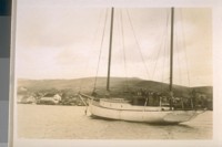 Richardson's Bay, Marin Co. 1931