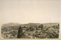 Columbia, Tuolumne Co. Calif. August 9/28, from St. Annes [?] Church on the hill, just a few houses left in this town
