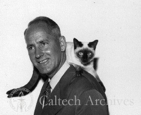 George Beadle with one of his Siamese cats