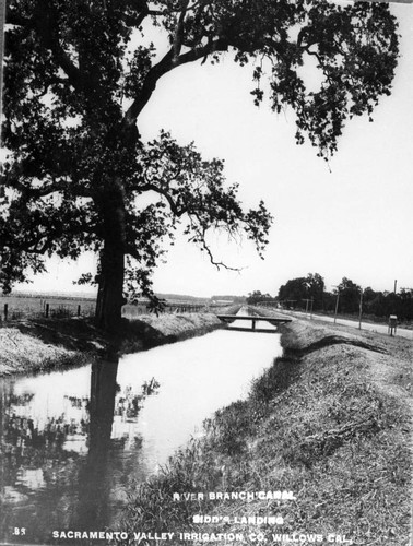River Branch Canal