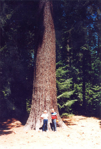 Don and Marge Cosens in front of sugar pine--Soper-Wheeler Company