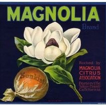 Magnolia Brand