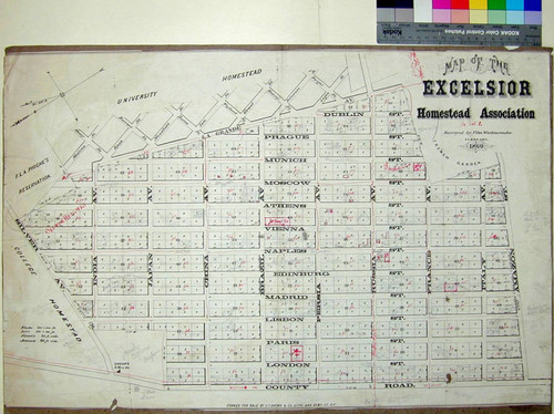 Map of the Excelsior Homestead Association / surveyed by Vitus Wackenreuder