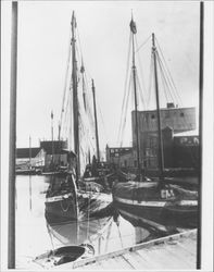 Boats Albertine and Margaret C docked in Petaluma, California, 1929