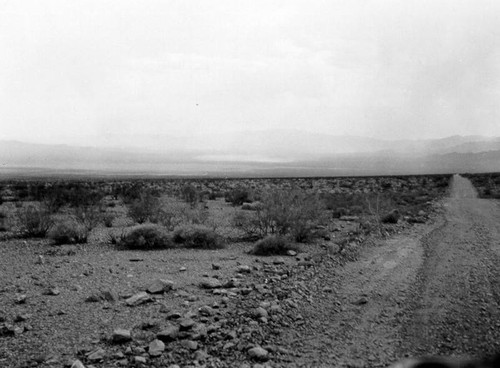 Land in the Nevada desert