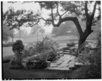 Edward Charles Harwood residence, patio and lawn, San Marino, 1932