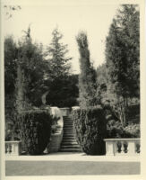 Harvey Mudd Residence, stone stairway surrounded by trees and bushes, Beverly Hills, 1933