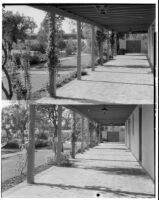 Rancho Los Cerritos, 2 views of restored walkway, Long Beach, 1931