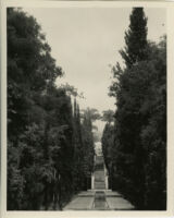 James Waldron Gillespie residence, view towards narrow pool and stairway in cypress allée, Montecito, 1932