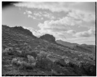 Desert shrubs and mountains, Death Valley, 1927