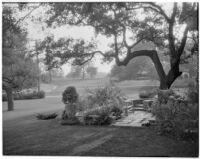 Edward Charles Harwood residence, patio and lawn, San Marino, 1928 or 1932