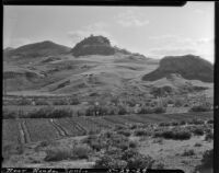 Man in the distance standing in a field near Ronda, Spain, 1929