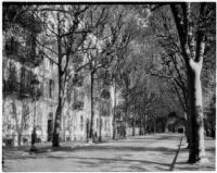 Buildings with balconies on the side of a shady tree-lined street, Europe, 1929