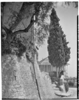 La Mortola botanical garden, view of superintendent S. W. McLeod Braggins near an entrance, Ventimiglia, Italy, 1929