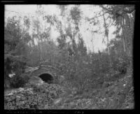 Stream in Ganesha Park, Pomona, 1913