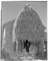 Bettye K. Cree studio, exterior view with a palapa shading a doorway, Palm Springs, 1929