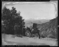 Two men with a mule that has a rocking chair strapped to its back, Spain, 1929